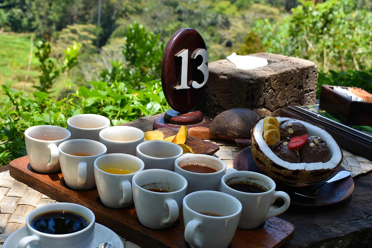 Perkebunan kopi di Kintamani dengan pemandangan gunung